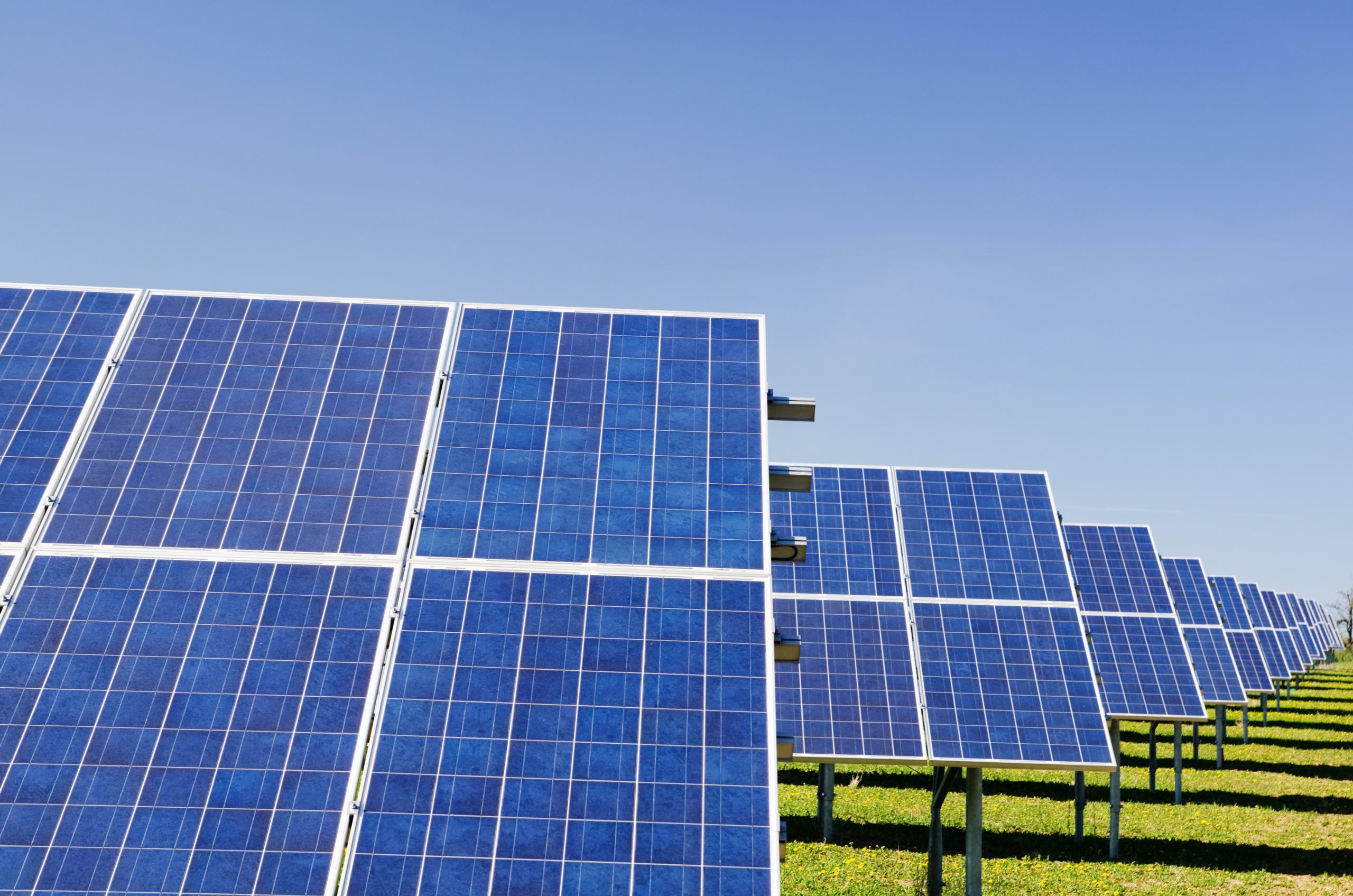 Our policy statement on renewables