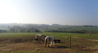 View across farmland from Shirland towards Alfreton